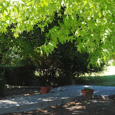 Quintinha Сasa de vacaciones *